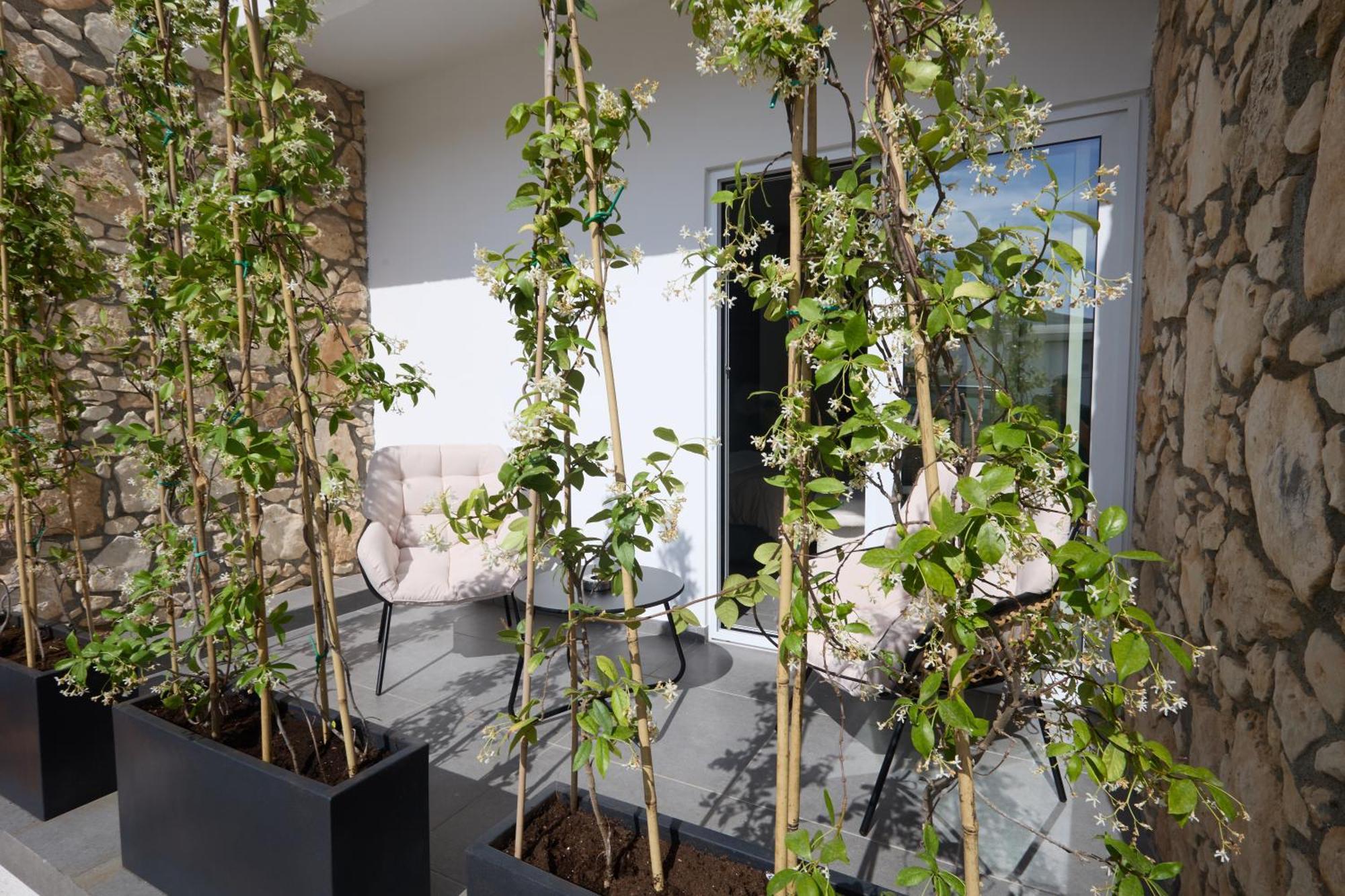 Adamandri - Prime Location Apartment